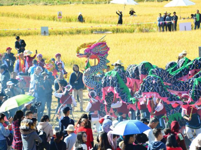 Harvest Festival